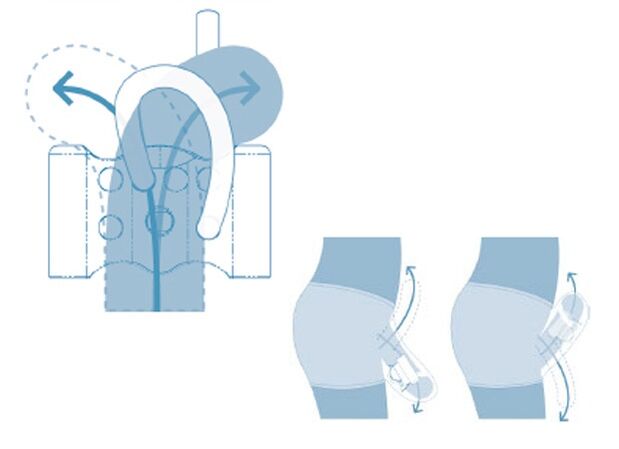 noorukite reproduktiivsüsteem